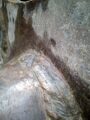 IMG-20180913-WA0003