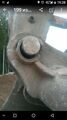 IMG-20180925-WA0023